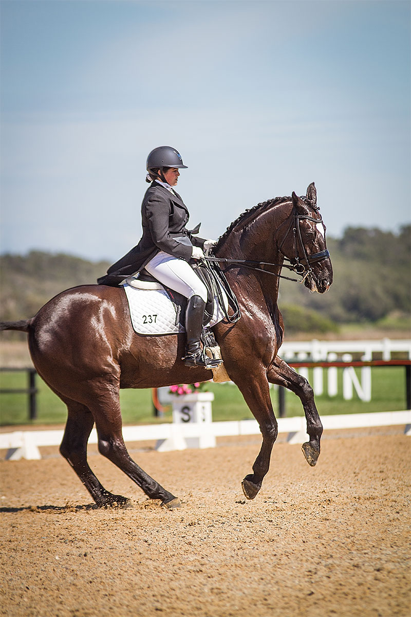 Carlton Performance Horses - Meet the Team - Jade Butler